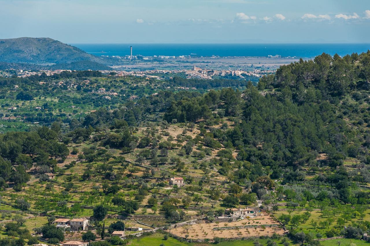 Casa Vella Villa Mancor del Valle Eksteriør bilde